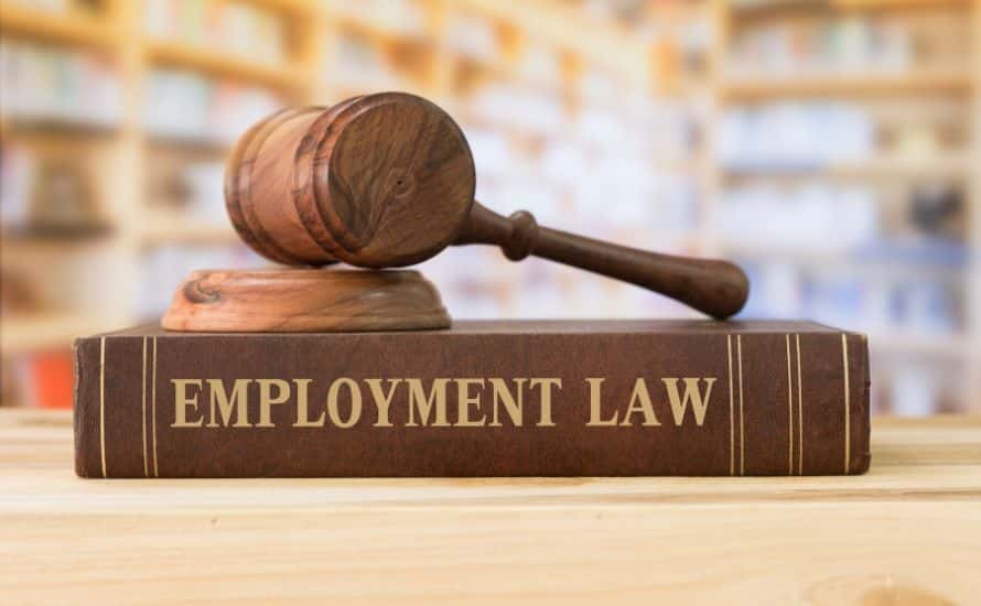 Employment lawyer calgary